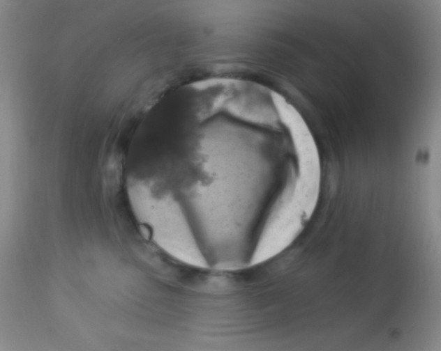 X0000112890475200909181916