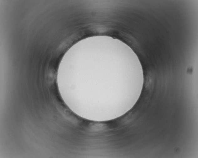 X0000112890476200909181916