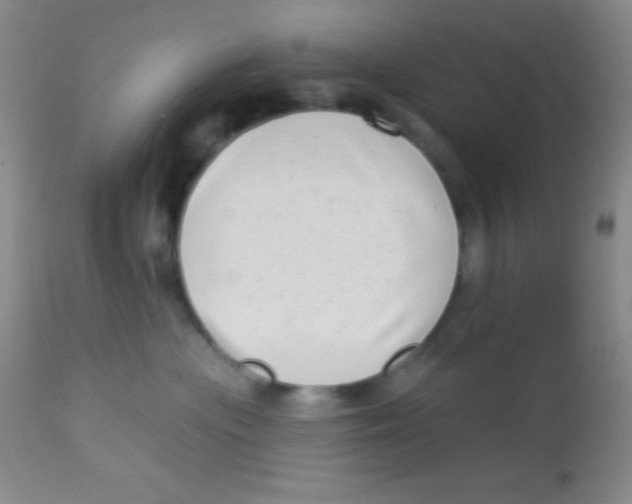 X0000112890477200909181916