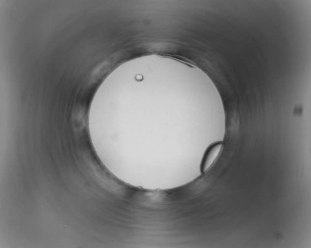 X0000112890478200909181916