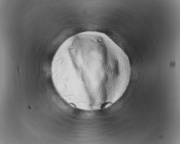 X0000112890479200909181916