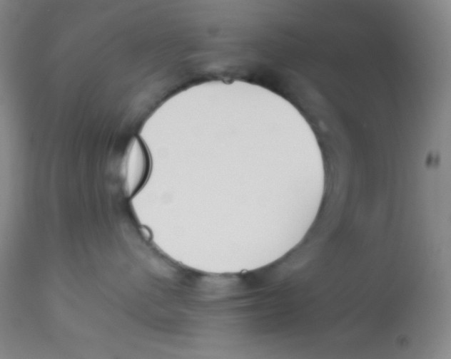 X0000112890480200909181916