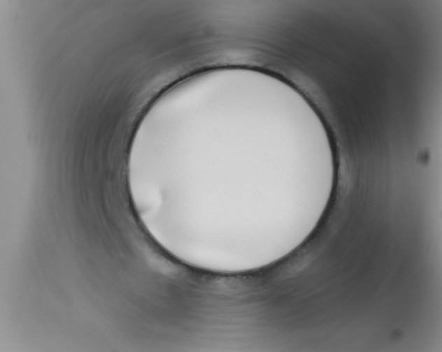 X0000112890481200909181915