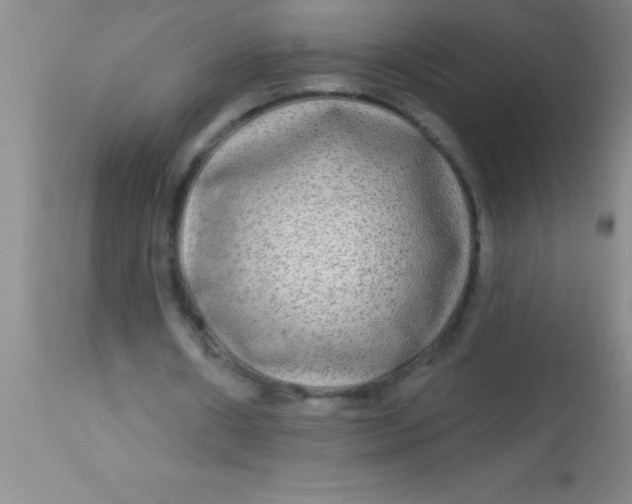 X0000112890482200909181915