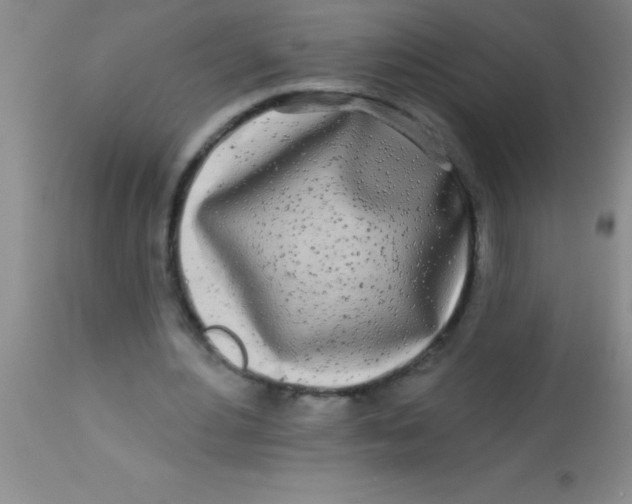 X0000112890484200909181915