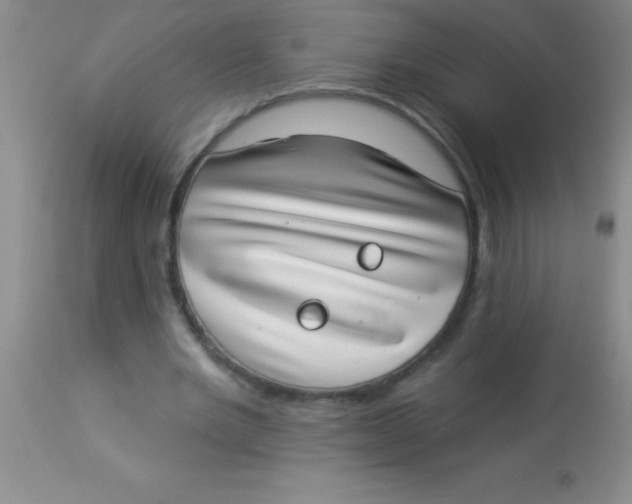 X0000112890485200909181915
