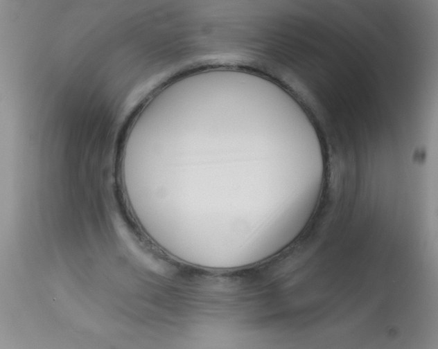 X0000112890486200909181915
