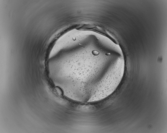 X0000112890488200909181915