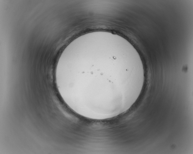 X0000112890489200909181915