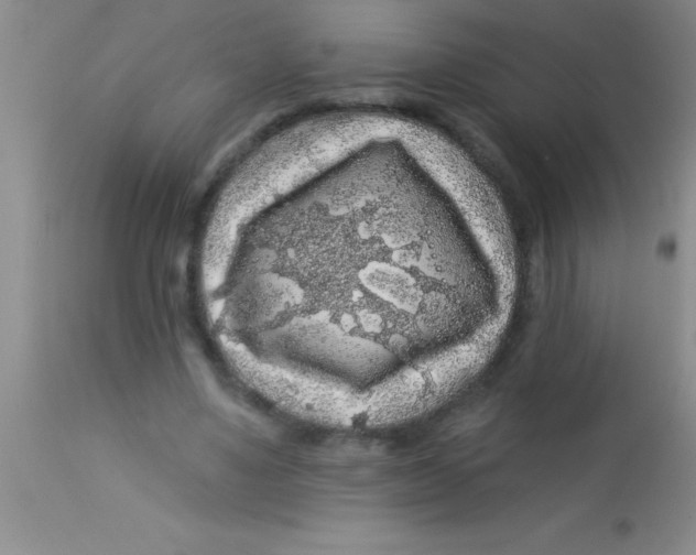 X0000112890491200909181915