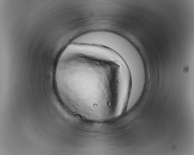 X0000112890493200909181915