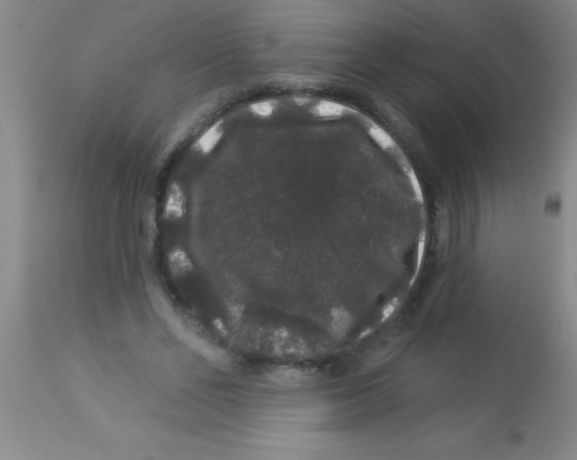 X0000112890494200909181915