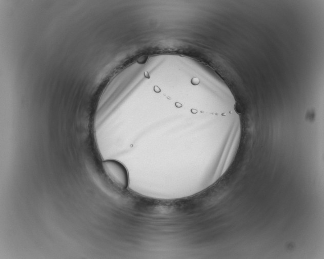 X0000112890496200909181915