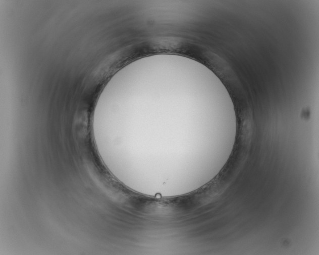 X0000112890498200909181915