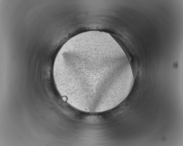 X0000112890499200909181915