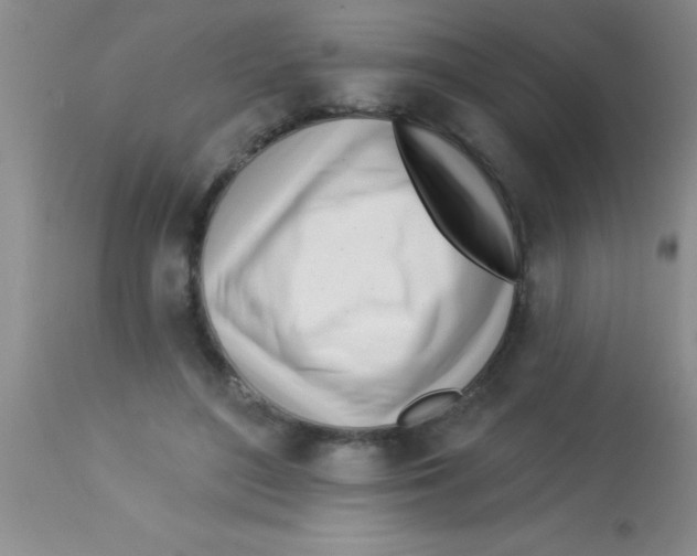 X0000112890500200909181915