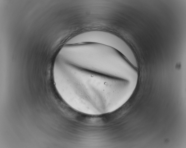 X0000112890501200909181915
