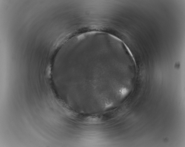 X0000112890502200909181915