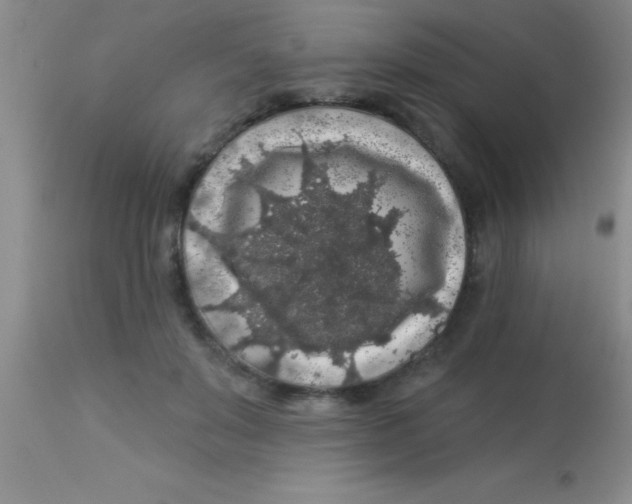 X0000112890503200909181915