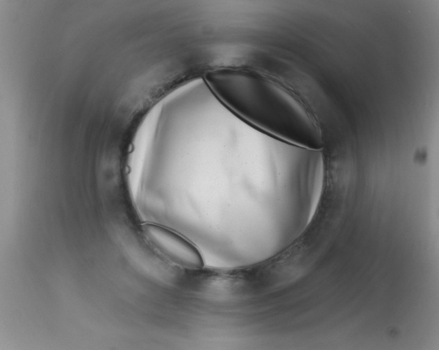 X0000112890504200909181915