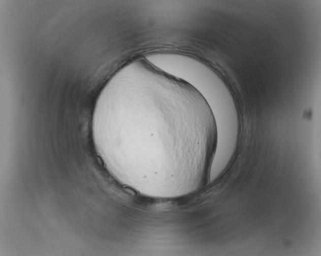 X0000112890505200909181915