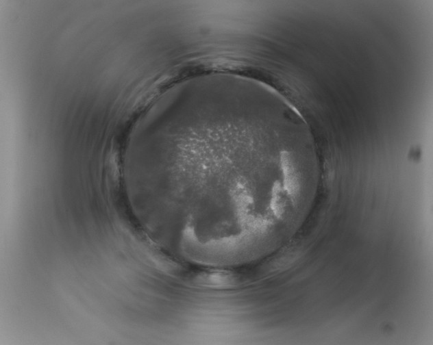X0000112890506200909181915