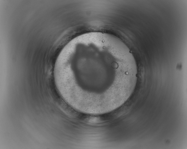 X0000112890507200909181915