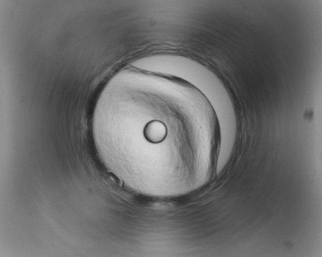 X0000112890508200909181915