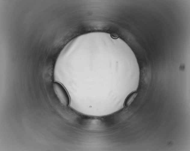 X0000112890509200909181915
