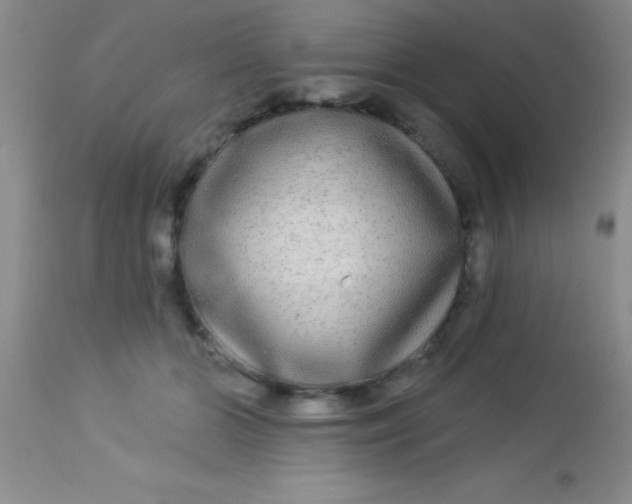 X0000112890510200909181915