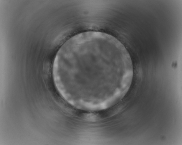 X0000112890511200909181915