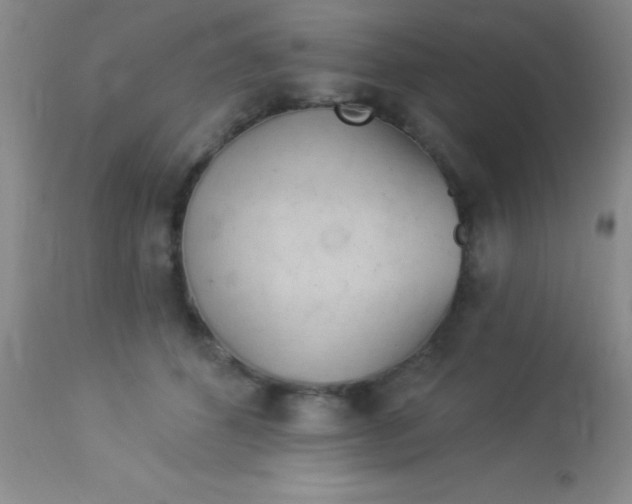 X0000112890512200909181915