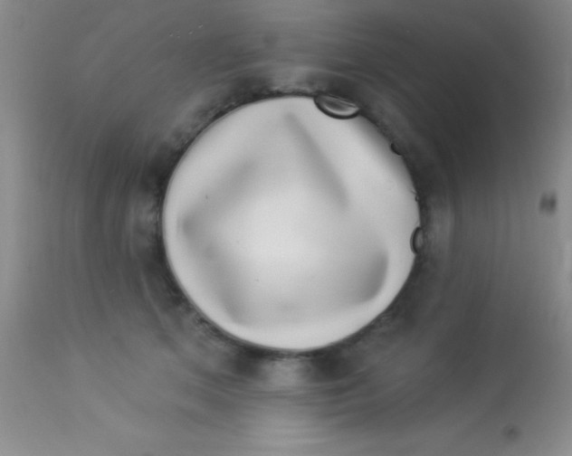X0000112890513200909181915
