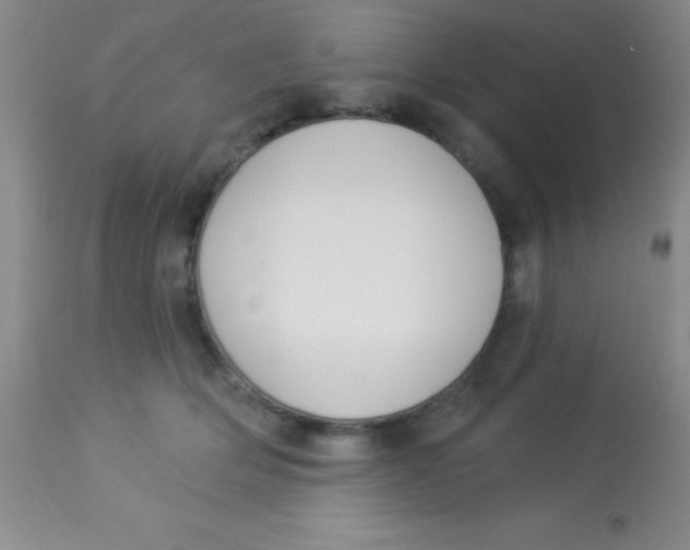 X0000112890514200909181915