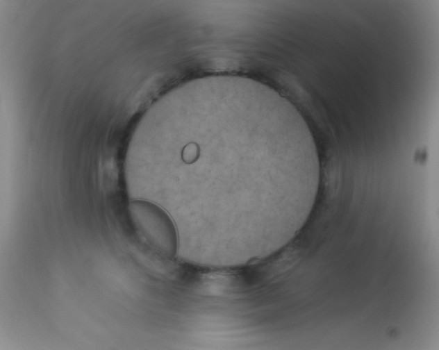 X0000112890516200909181915