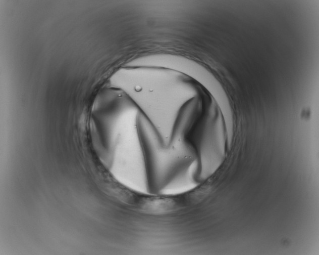X0000112890517200909181915