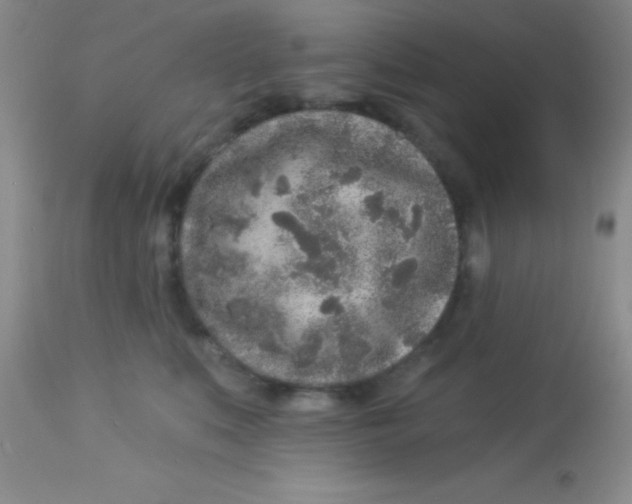 X0000112890519200909181915