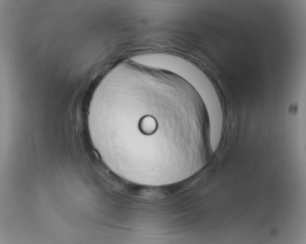 X0000112890520200909181915
