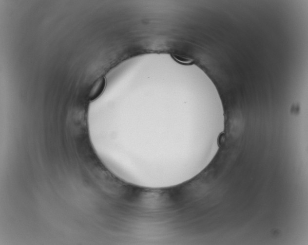 X0000112890521200909181915