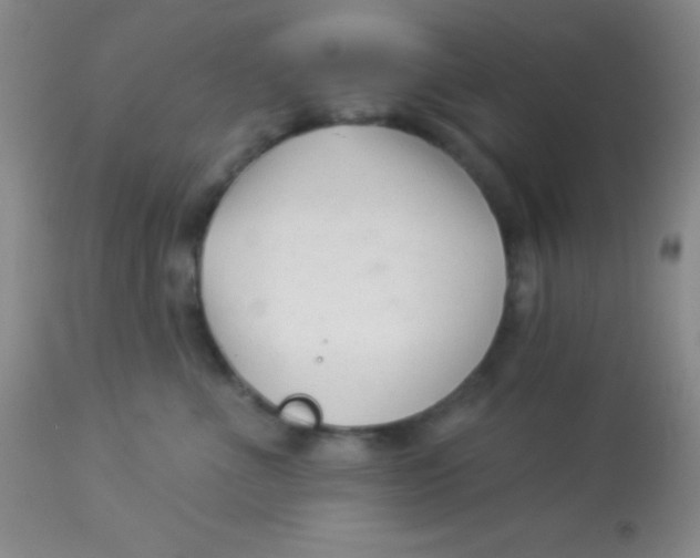 X0000112890523200909181915