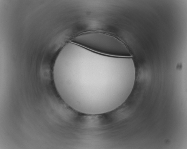 X0000112890524200909181915