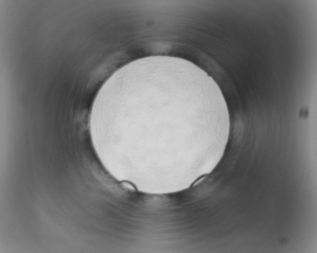 X0000112890525200909181915