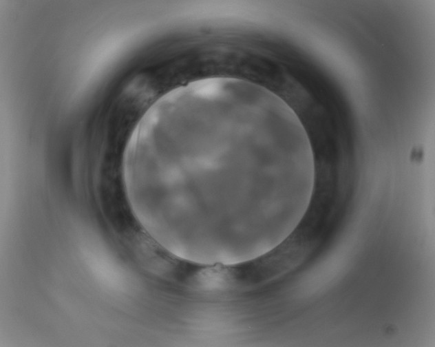 X0000112890526200909181915