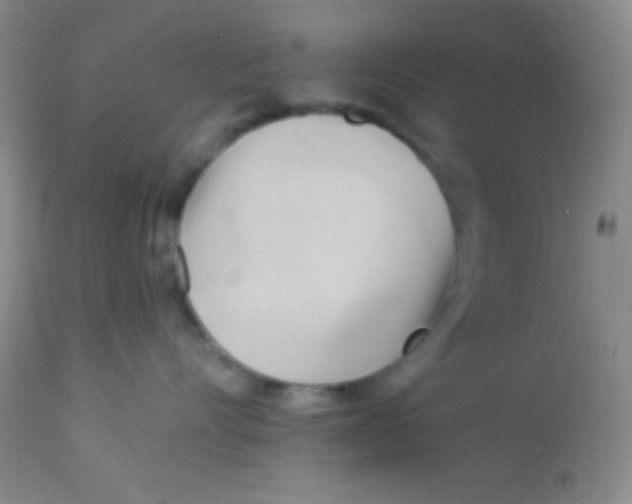 X0000112890528200909181915