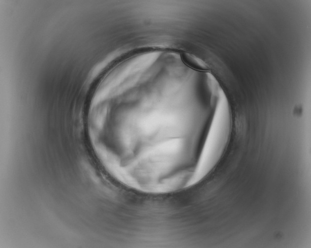 X0000112890532200909181914