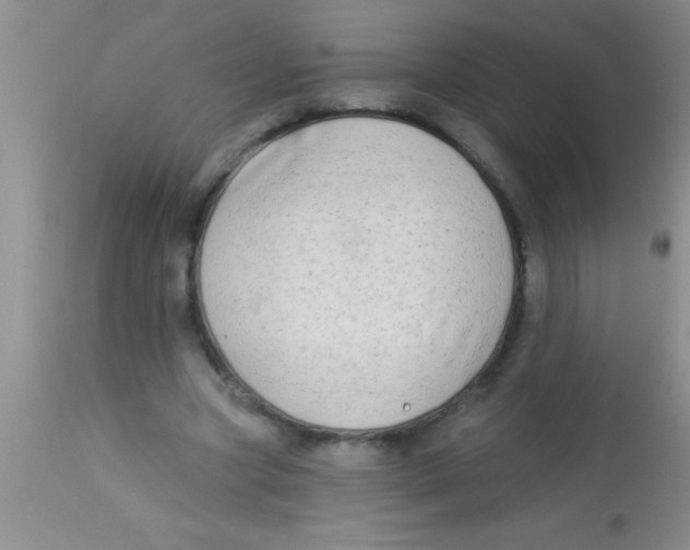 X0000112890537200909181914