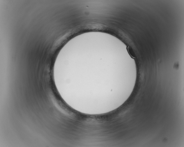 X0000112890538200909181914