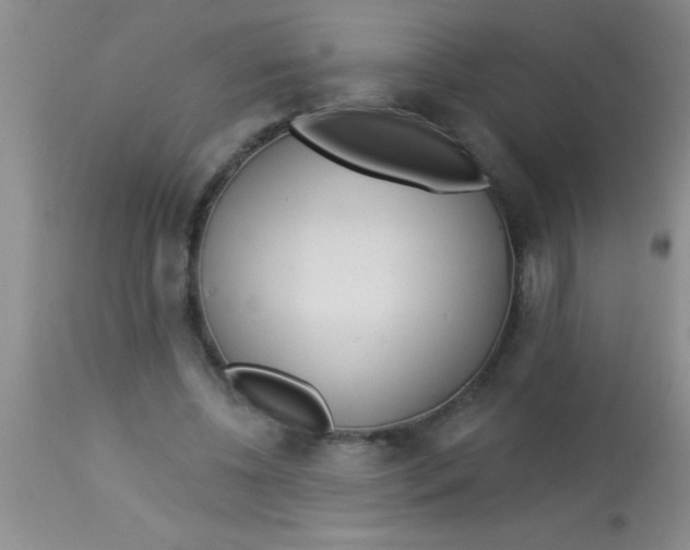 X0000112890540200909181914