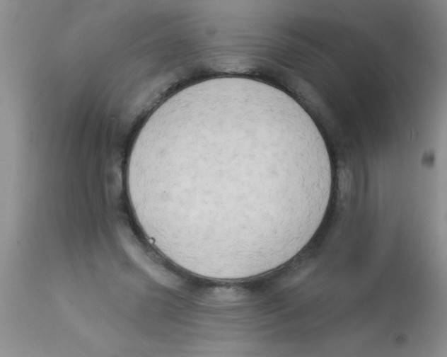 X0000112890541200909181914