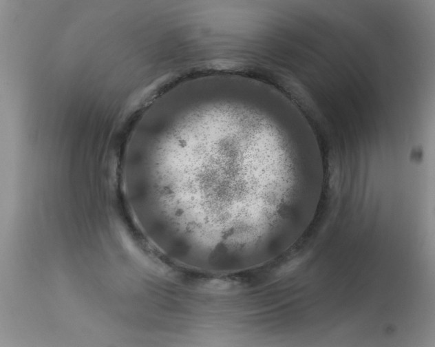 X0000112890542200909181914